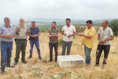 Avı yasaklanan keklikler doğaya salındı