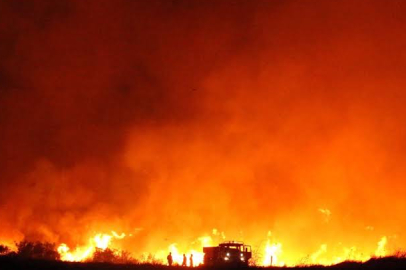 AFAD'dan Çanakkale'de çıkan yangına ilişkin açıklama