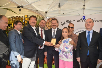 Ayvalık’ta 18. Uluslararası Zeytin Hasat Festivali için düğmeye basıldı