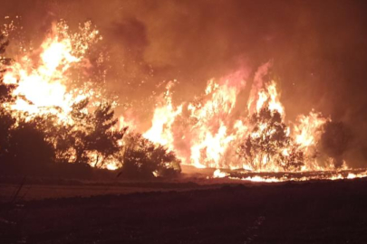 Çanakkale’deki orman yangınını söndürme çalışmaları aralıksız devam ediyor