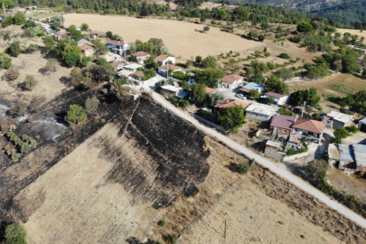 Çanakkale'nin ciğerlerini yakan yangın burada başlamış