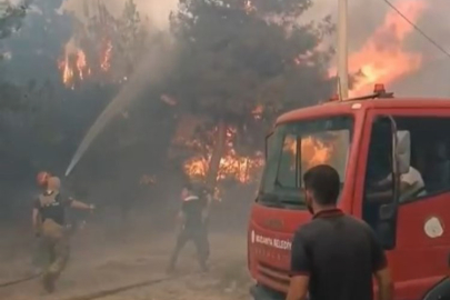 Mudanya orman yangınında son durum