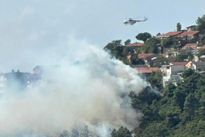 İstanbul Maltepe'de orman yangını