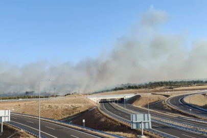 Gelibolu’da zirai alanda yangın çıktı