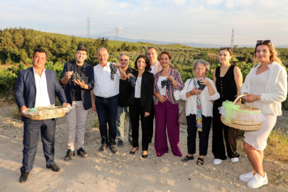 Mudanya Çağrışan’da bağbozumu zamanı