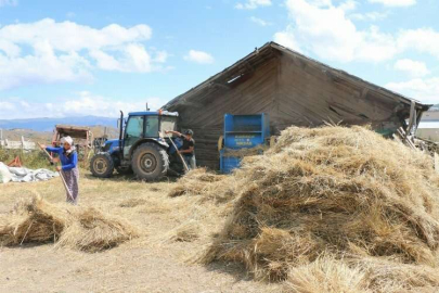 Buğdayın atası siyez üretimi artıyor