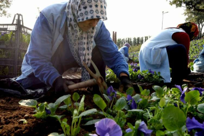 Bursa Osmangazi’de 400 bin çiçek toprakla buluşuyor