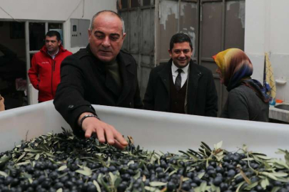 Bursa Gemlik'te zeytin çiftçisine yapılan destekleri anlattı