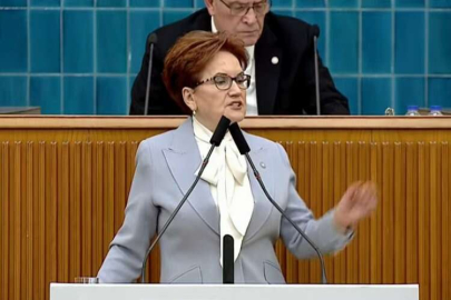 Akşener'den sürpriz çıkış! İYİ Parti'nin İstanbul adayı açıklandı, Ankara öğleden sonra